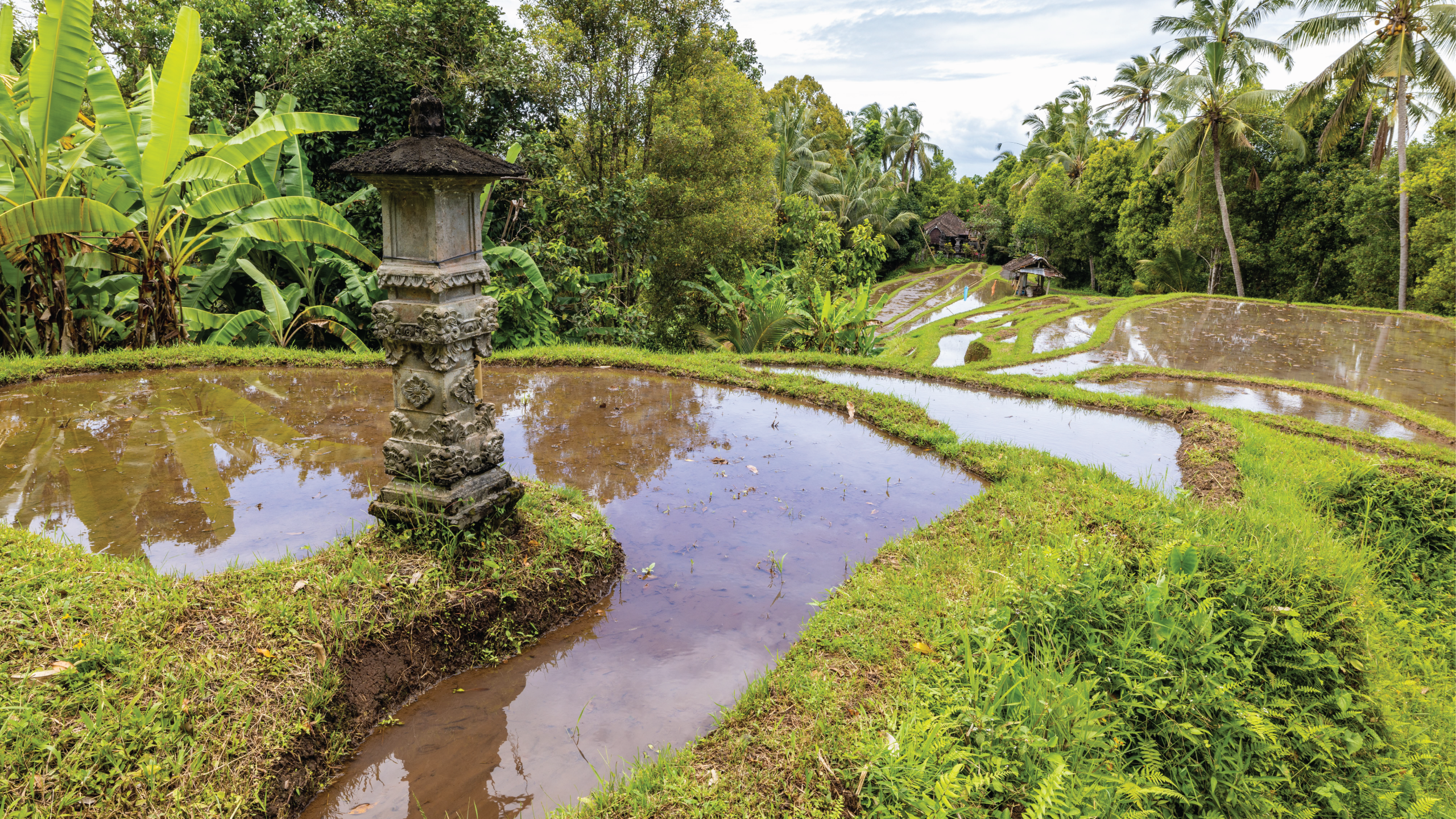 Bali countryside