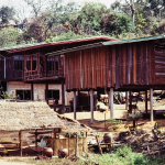 Rural Thai house